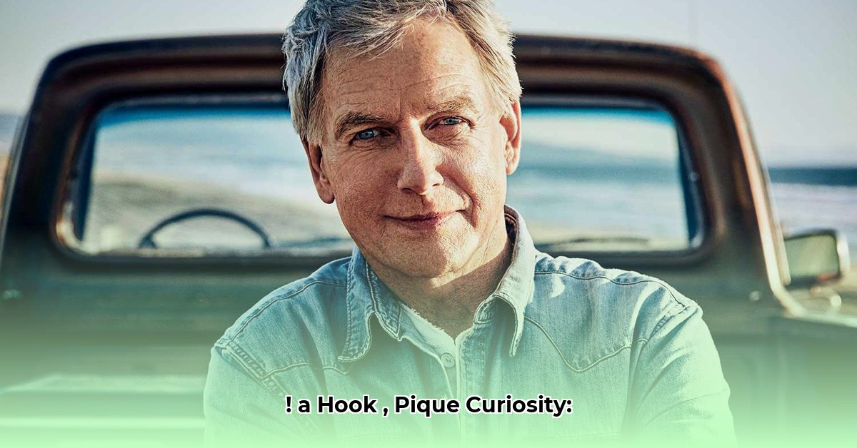 mark-schwahn-net-worth